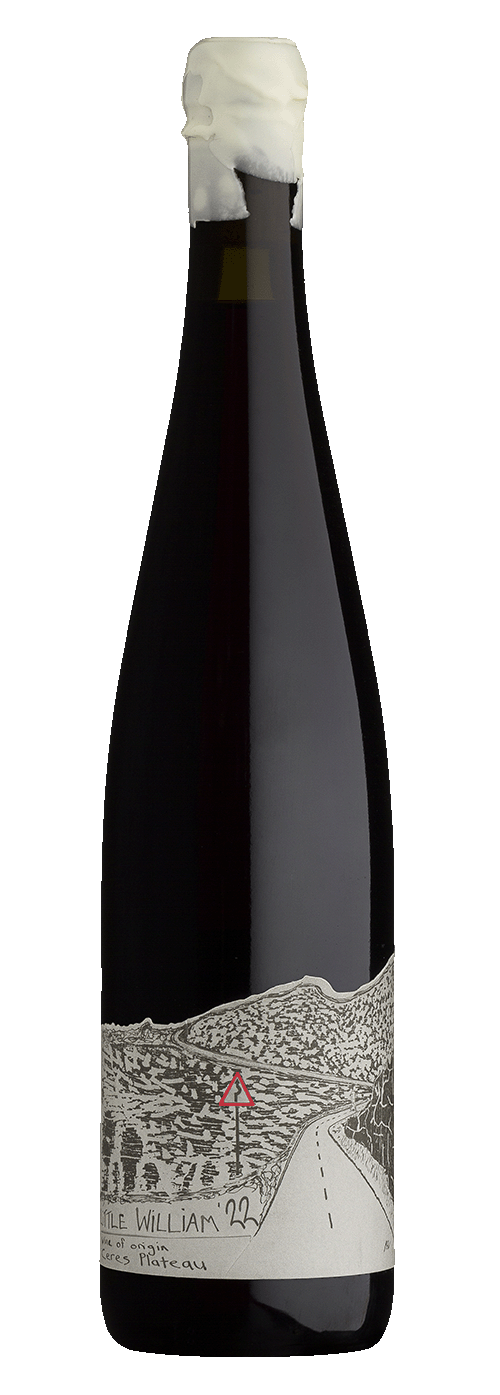 Blankbottle Little William 2022